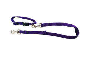 15mm Wide Webbing Dog Control Strap Set Collar and Height Adjustable Neck Noose Strap Purple