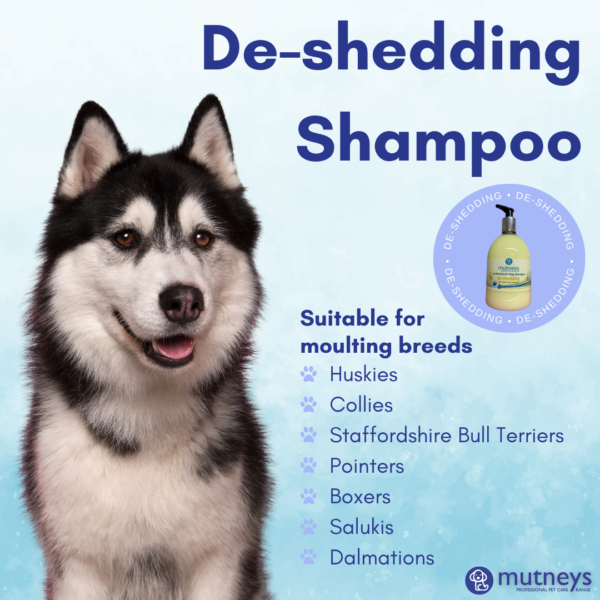 De-Shed Mutneys Dog Shampoo