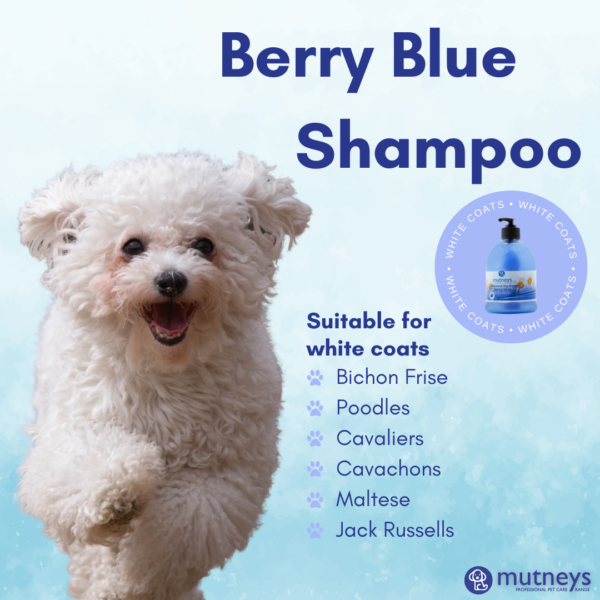 Berry Blue Mutneys Dog Shampoo
