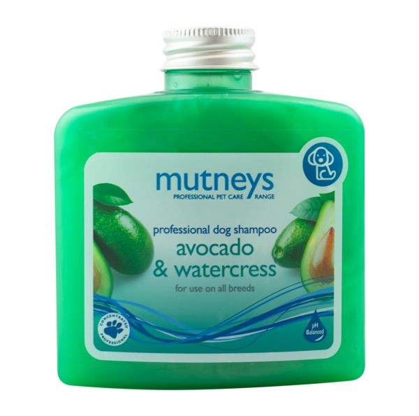 250ml Avocado & Watercress Shampoo