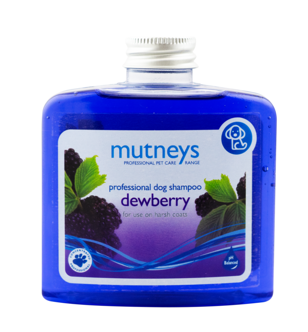 250ml Dewberry Shampoo