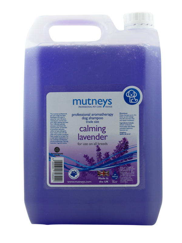 5ltr Calming Lavender Shampoo