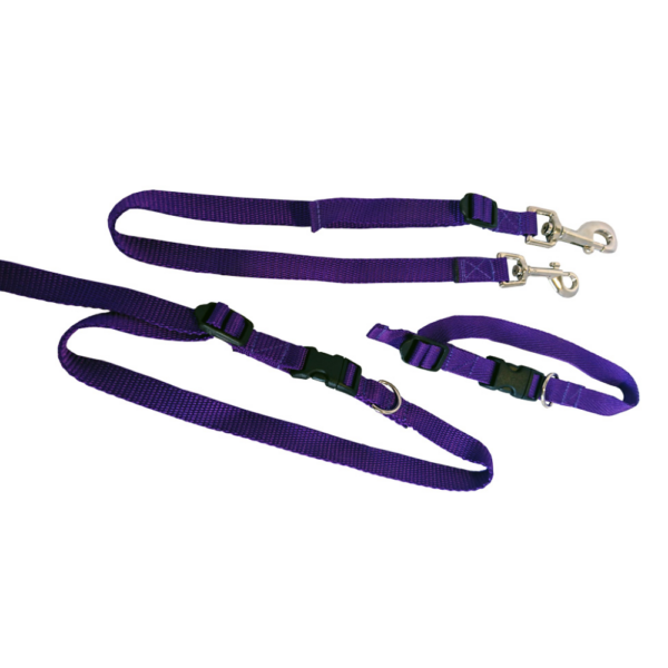 Dog_Neck_Control_Strap_Set_Both_Collars_Purple_Mutneys