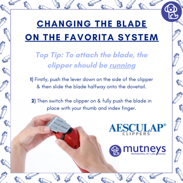 Changing blades on Aesculap favorita system