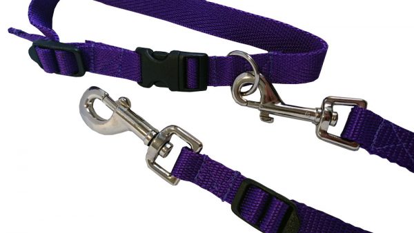 Standard Purple Control Strap Set - Hooks