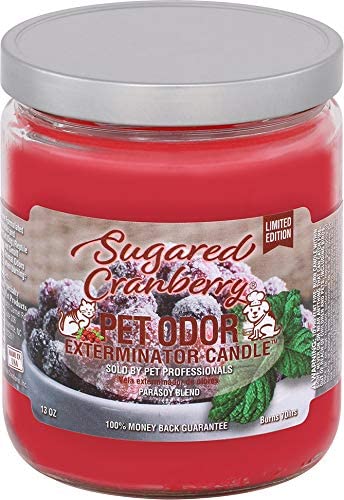 Sugared Cranberry Candle