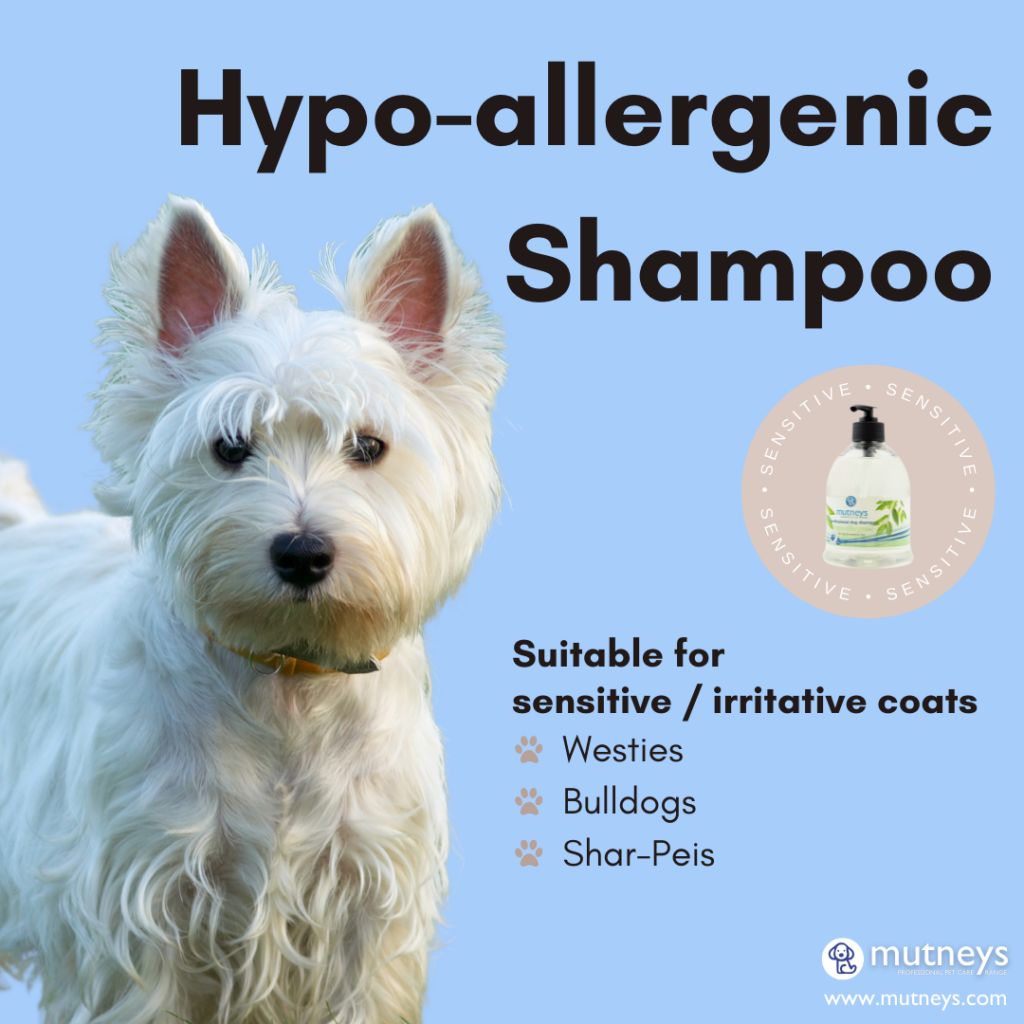 Hypo Allergenic Dog Shampoo