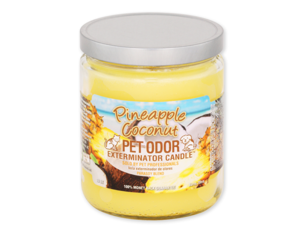 Pineapple Coconut Candle