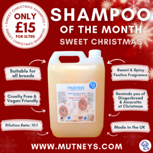 Sweet Christmas Dog Shampoo Mutneys
