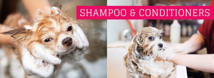 Shampoo & Conditioners