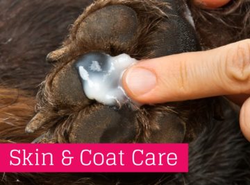 Skin & Coat Care