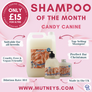 Candy Canine Dog Shampoo Mutneys