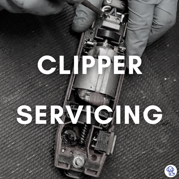 Clipper Servicing Mutneys