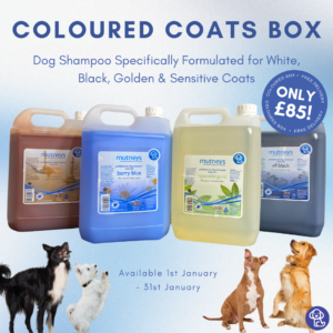 Coloured Coats Box - Mutneys Dog Shampoo Value Box