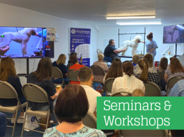 Seminars / Workshops