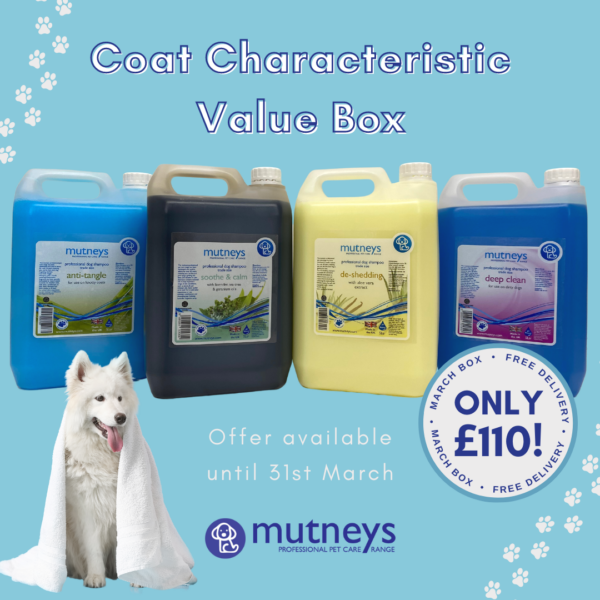Coat_Characteristic_Value_Box_Dog_Shampoo_Mutneys