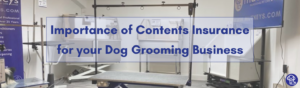 Importance_of_Insuring_Dog_Grooming_Businesses_Mutneys_Blog