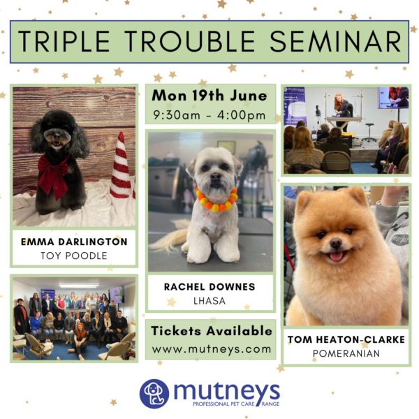 Triple_Trouble_Seminar_Mutneys