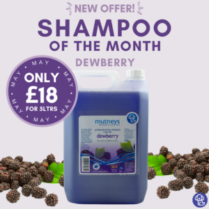 Dewberry_Dog_Shampoo_Offer_of_the_Month_Mutneys