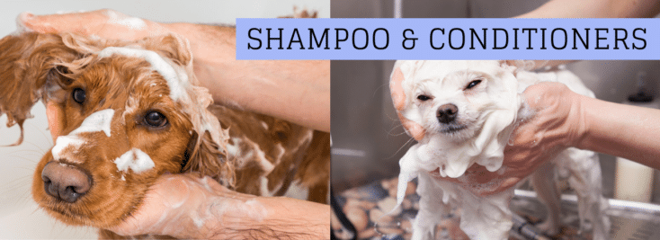 Shampoo & Conditioners
