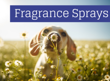 Fragrance Sprays