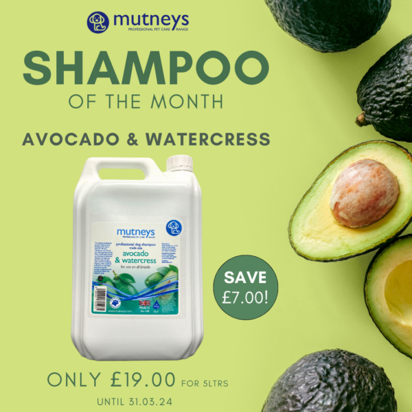 March2024_Dog_Shampoo_of_the_Month_Avocado_Watercress_Mutneys